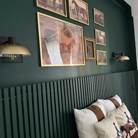 Apartment Haussmann Style Nancy Center Absolute Luxury *