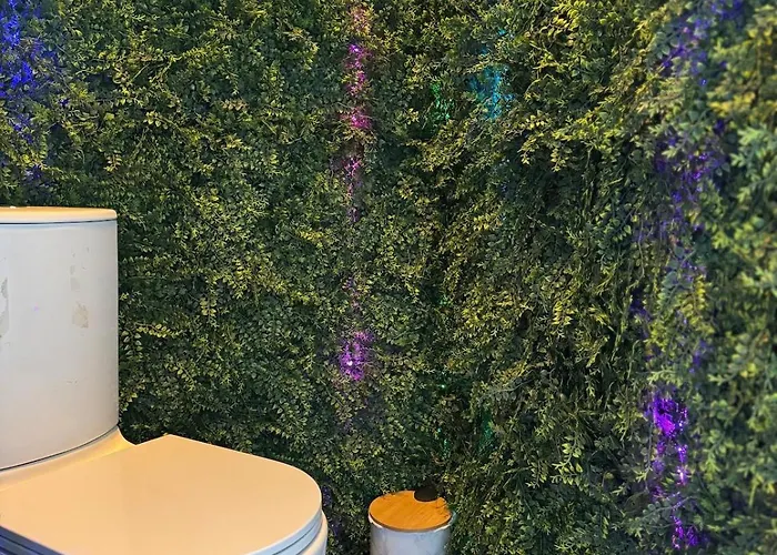 Apartment Haussmann Style Nancy Center Absolute Luxury *