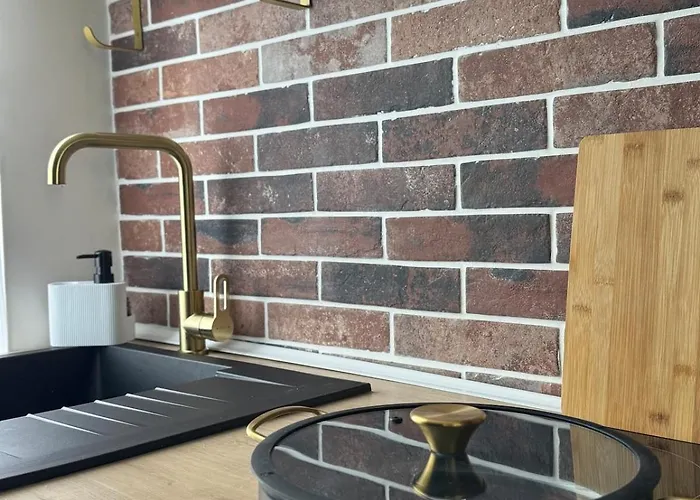 Haussmann Style Nancy Center Absolute Luxury Apartment Vandoeuvre-les-Nancy